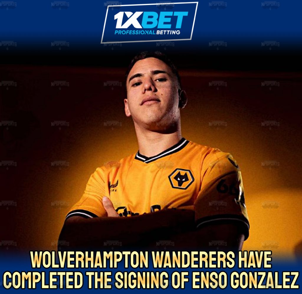 Wolverhampton Wanderers announces Enso Gonzalez